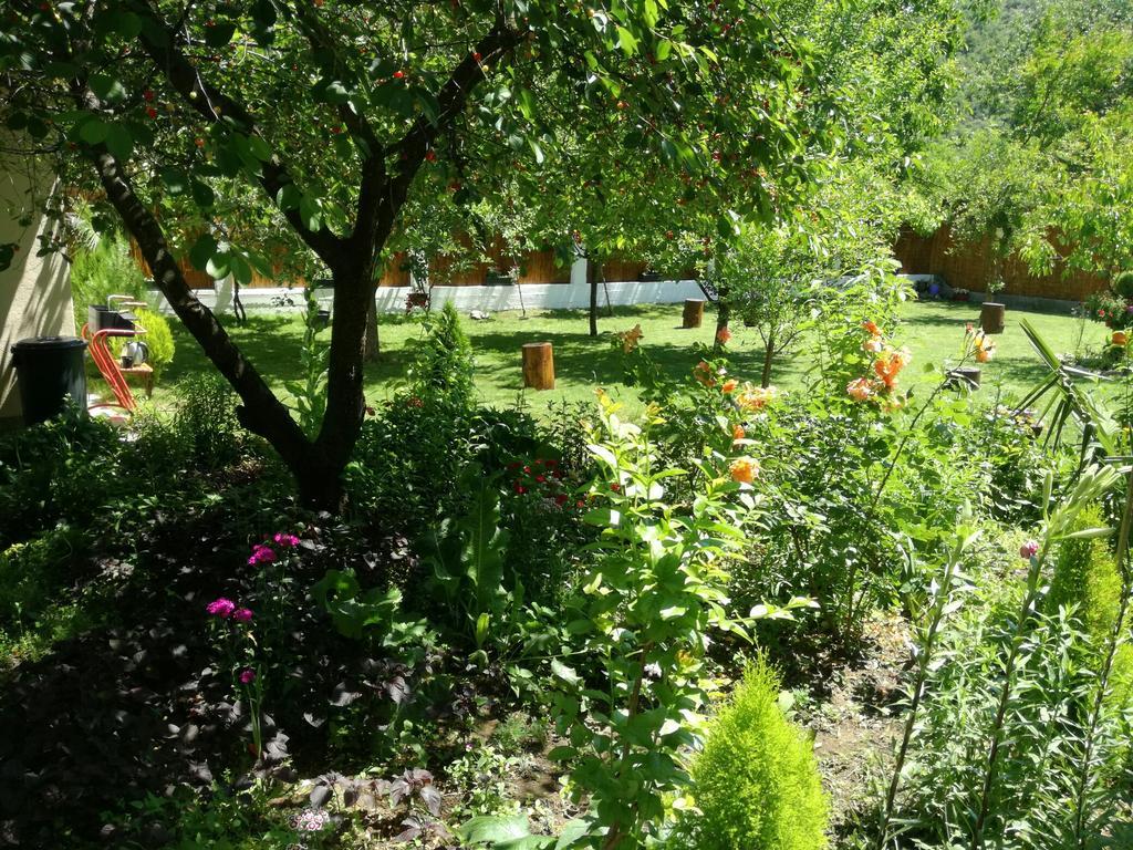 Riverside Guesthouse Pocitelj Kültér fotó